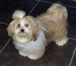 Romy, dochter van Prince en Jazzy
